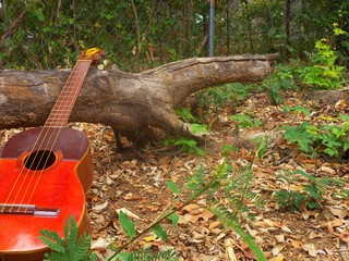 instrumento Venezolano