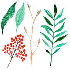 Colorful floral set with leaves and branch, drawing watercolor, illustration isolated on white background. Design for invitation, wedding or greeting cards.