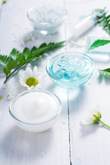 Fototapeta na wymiar spa setting with cosmetic cream, gel, bath salt and fern leaves on white wooden table background