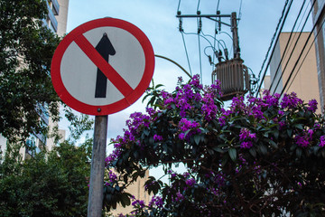 Placa