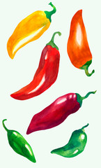 watercolor peppers set