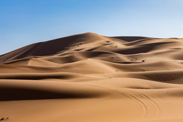 Fototapeta na wymiar Sand Dunes in the Sahara Desert