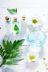 spa setting with cosmetic cream, gel, bath salt and fern leaves on white wooden table background