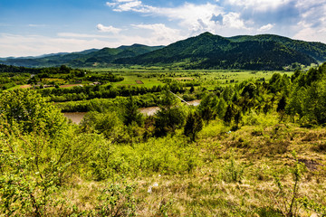 Fototapeta na wymiar Landscape view of the mountain river with green vegetation trees bushes and grass and blue sky