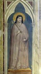 Saint Clare of Assisi holding a lily, fresco by Giotto di Bondone in Basilica di Santa Croce (Basilica of the Holy Cross) - famous Franciscan church in Florence, Italy