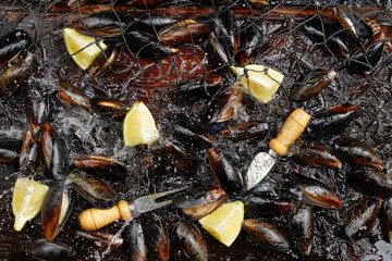 Many mussels with lemon slices in the net, water spray