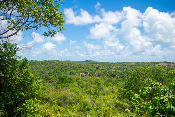 Fototapeta na wymiar A view of the countryside of Itamaraca island - Pernambuco state, Brazil