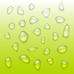 Set of realistic water drops on green background.