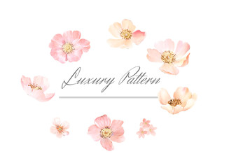 Elegant watercolor hand painted flower