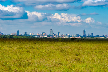 Fototapeta na wymiar View of Nairobi park savannah with city