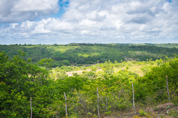A view of the countryside of Itamaraca island - Pernambuco state, Brazil