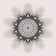 Modern Decorative Cicle Shapes. Floral Mandala. Vector Illustration. White grey color.