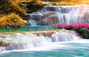 Colorful autumn landscape Beautiful waterfall amidst the rich and beautiful rainforest in Asia, Thailand nature concept background