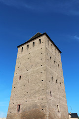 Fototapeta na wymiar Mediaeval tower on old bridge 