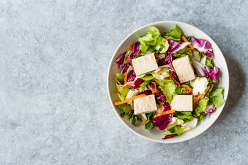 Organic Vegan Asian Tofu Salad with Red Cabbage, Lettuce and Carrot Slices.