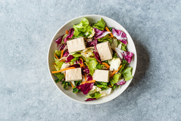 Organic Vegan Asian Tofu Salad with Red Cabbage, Lettuce and Carrot Slices.