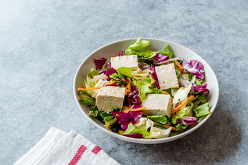 Organic Vegan Asian Tofu Salad with Red Cabbage, Lettuce and Carrot Slices.