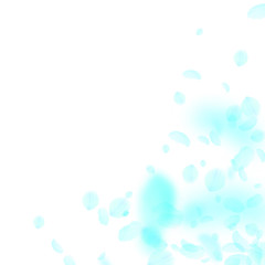 Turquoise flower petals falling down. Ecstatic rom