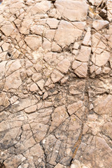 Graphic texture stone