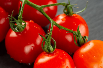 Green fresh branch with cherry tomatoes on it