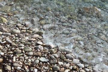 shore with stones