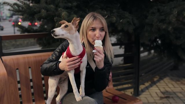 Cheerful pet owner eat icecream and sitting with her dog on the bench and posing. woman is caressing a dog