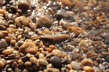 Bebbles of the Riverside