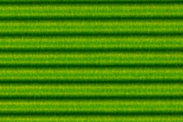 green fabric background