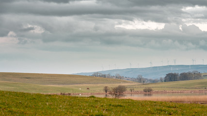 landscape with green fields and blue sky