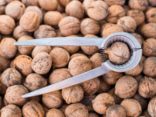 Nutcracker on brown nuts background, Natural walnut pattern texture