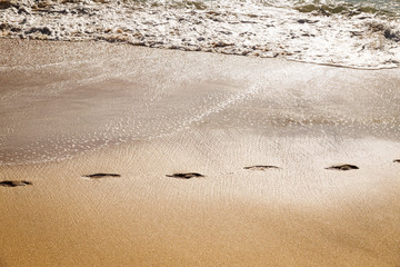 footprints path in the sand of a beach