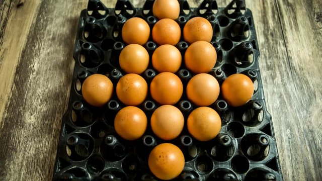 Stop motion picture of eggs in tray , close up in studio Chiangmai Thailand