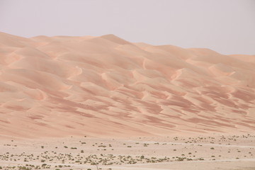 Desert Dunes in Abu Dhabi