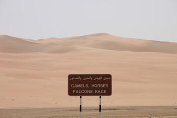 Desert Signs