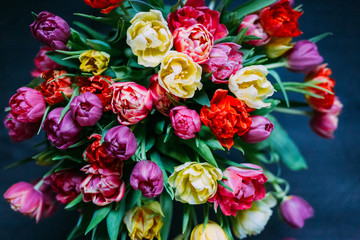 Amazing Huge Colourful Bouquet of Tulips for Mother Day