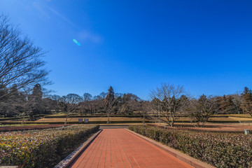 冬の佐倉城跡の角馬出の風景