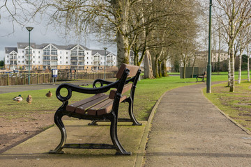 Naklejka premium bench in the park sunny day