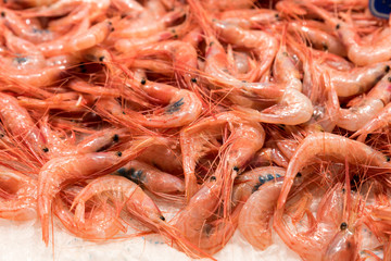 Of the market sea fish