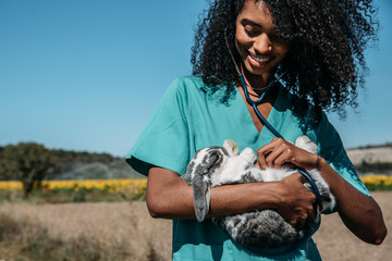 Veterinarian examining a bunny in a hay field