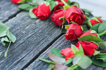 Fototapeta na wymiar cut red withered roses .dark background, flowers