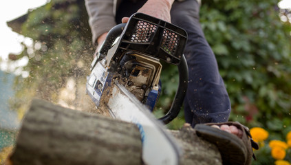Image of man with chainsaw sawing log in forest