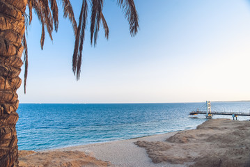 yellow warm sand and summer sea with sky and free space and the Palm tree on the foreground. Tropical beach scenery background with copyspace
