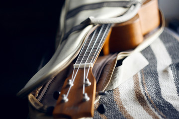 Popular wooden ukulele with nylon strings on open case for gentle carrying