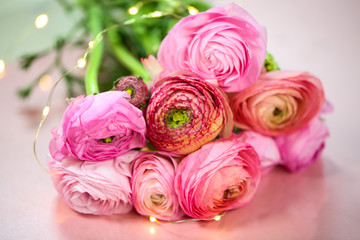 Fototapeta premium rosa Ranunkeln, Ostern,Hintergrund