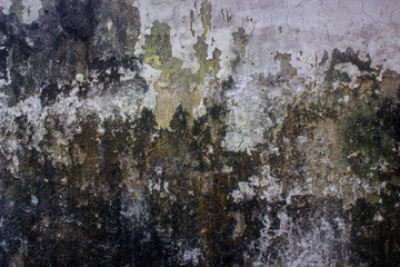 Old wall texture 