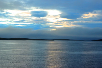 Shetlans after storm