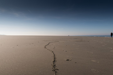 Spuren im Sand