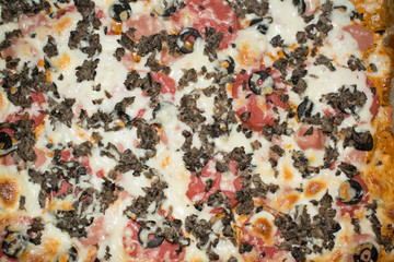 Pizza assorted meat mushrooms sausage cheese and olives for design background