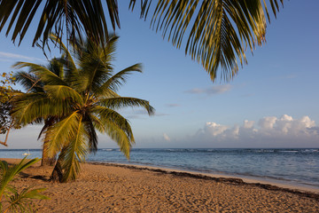  Samana. Dominican Republic.