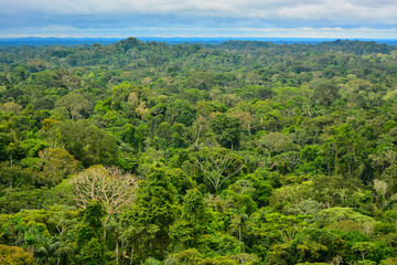 Fototapeta na wymiar View of the Amazon Region